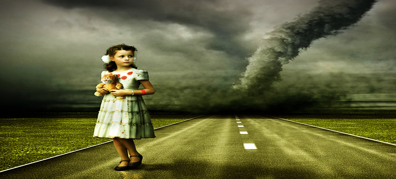 Storm Damage Adjuster